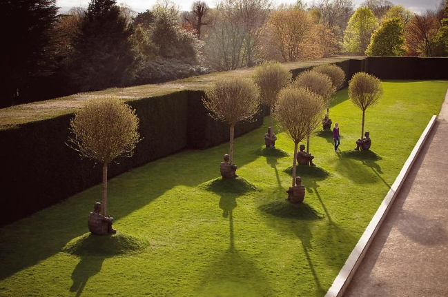 The Heart of Trees, 2007
