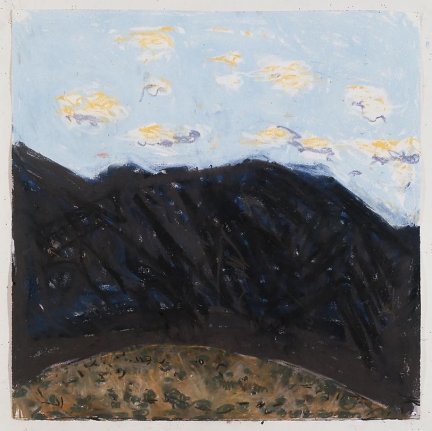 December - January, Arizona #15, 1998 - 99