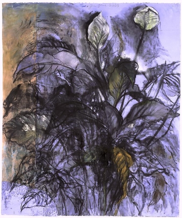 Cool Air, 107 Degrees, 2003