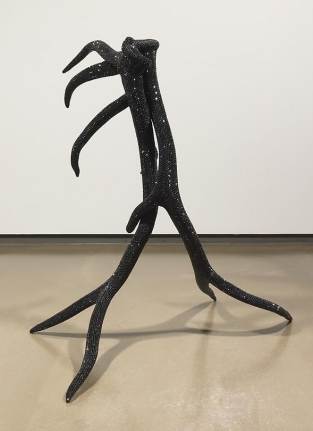 Untitled (Black Elk Pair), 2009