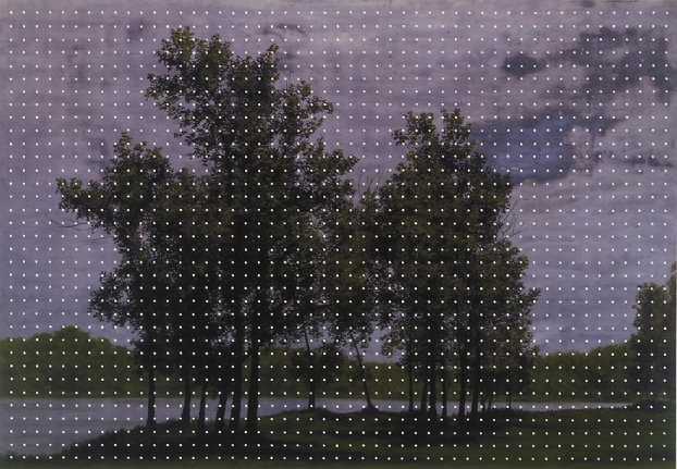 Untitled, 2006 Oil on paper
