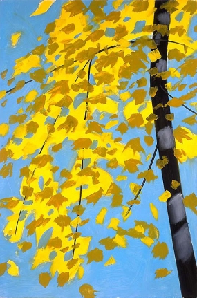 Yellow and Blue, 2001