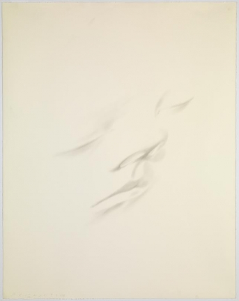Slumberland XIII (Olivia), 2014