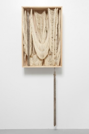 Untitled (Fringe Box), 2012
