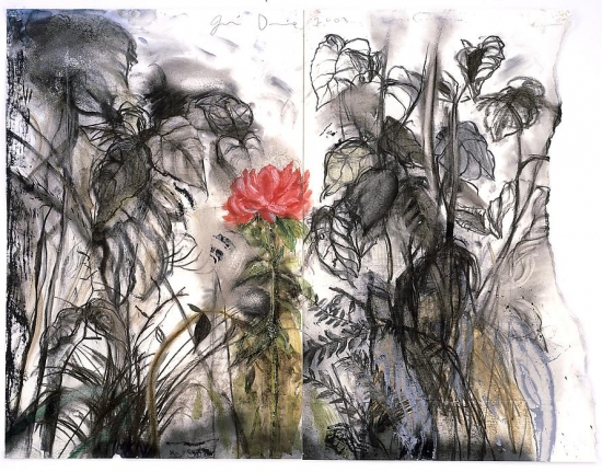 A Peony from Auckland, 2003