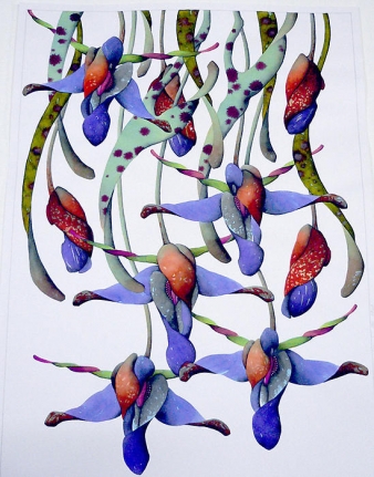 Miron Schmückle Botanical Archives (out of my brain) 47-07, 2007