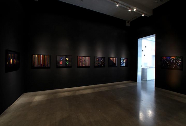 "Small Brain Big Stomach," installation view, 2009. Metro Pictures, New York.