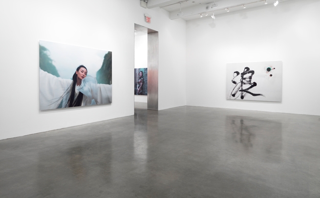 Ten Thousand Waves, 2011, installation view. Metro Pictures, New York.