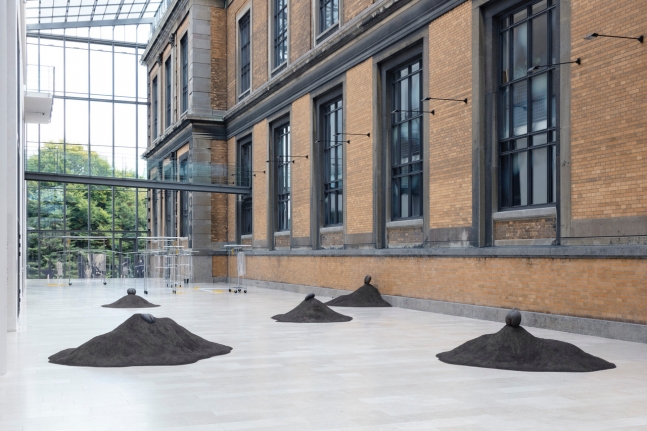 Female Nude, 2015. 5 Lodoicea seed, fertilized dirt, Dimensions variable.