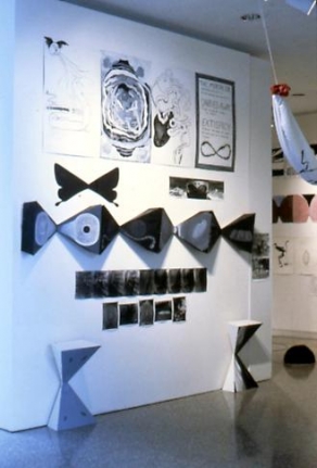 "Monkey Island and Confusion," installation view, 1982. Metro Pictures, New York.