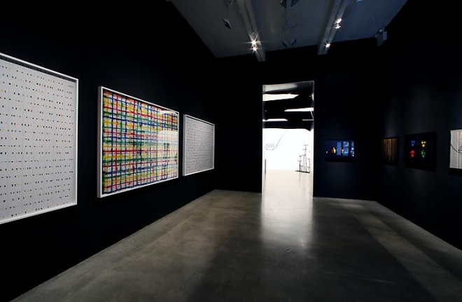 "Small Brain Big Stomach," installation view, 2009. Metro Pictures, New York.