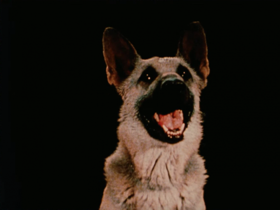 Jack Goldstein film still of 'Shane'