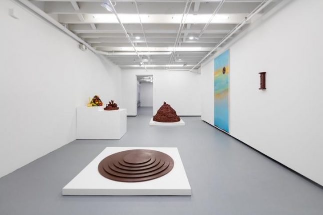Institute of Contemporary Art, Miami. Installation view, 2016.