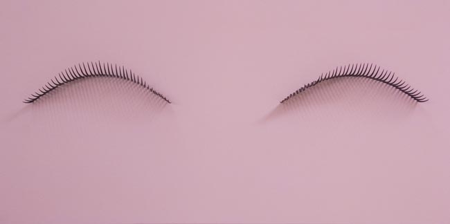 Dream Object (At a party in S.F. with Janet, in an apartment with a sea view, the art kept changing), 2007. Mixed media, Painting: 24 x 48 x 6-1/4 inches, eye lash: 4-1/2 x 14-1/2 inches each. MP# 187