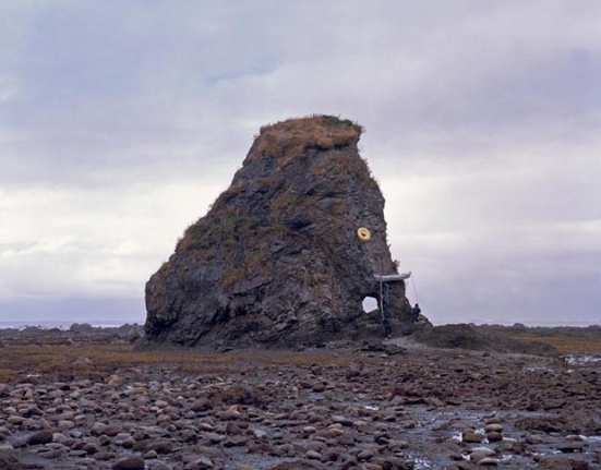 Mammoth, 2008. Mounted c-print on 6mm sintra, framed, 60 x 75 inches (152.4 x 190.5 cm). MP P-51