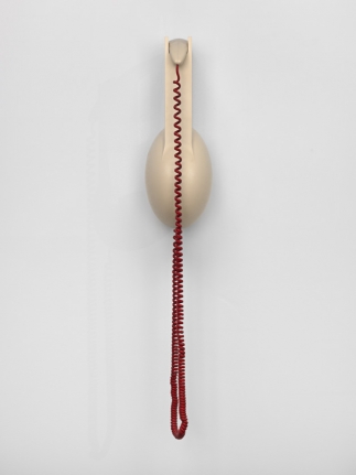 Camille Henrot, Ded Moroz, 2015.