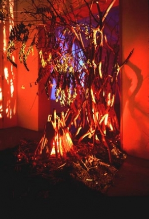 Apes, 2001. Mixed media, dimensions variable. MP 1