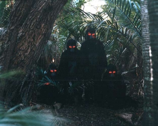 Apes, 2001. C-print mounted on aluminum, laminated, 32 x 40 inches. Edition of 10. MP P-26