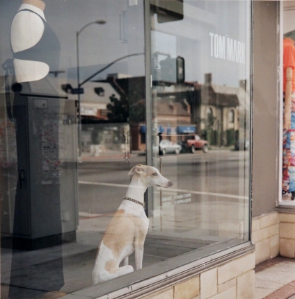 John Miller untitled photograph from 1996