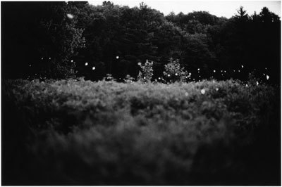 Gregory Crewdson
