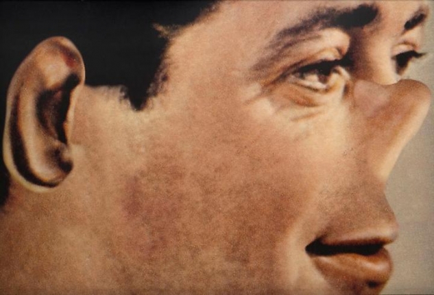 John Baldessari Noses & Ears, Etc., Part III: Altered Person (Color), 2007