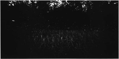 Gregory Crewdson