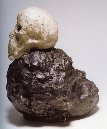 Rosemarie Trockel, Trophae der Sehnsuct, 1984