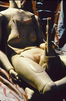 Cindy Sherman Untitled #253, from the Sex Pictures Series, 1992