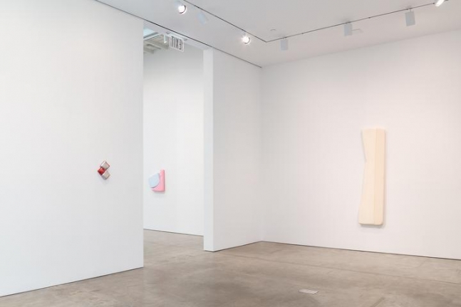 Installation view Justin Adian