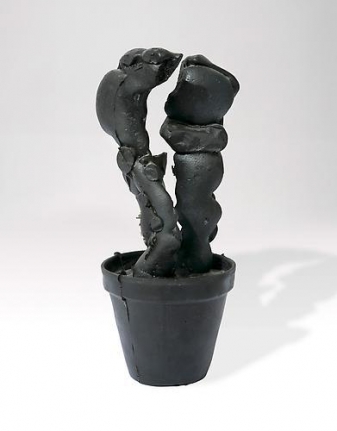 Fischli & Weiss, Cactus, 1987
