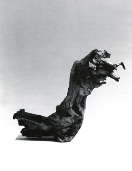 Fischli & Weiss, Tree Root, 1987