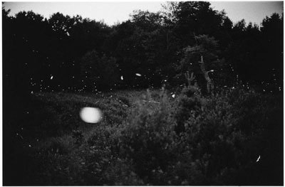 Gregory Crewdson