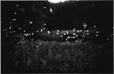 Gregory Crewdson