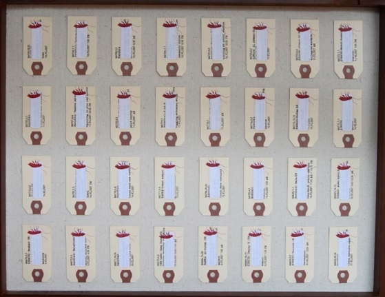 Tazeen Qayyum TEST ON A SMALL AREA BEFORE USE II 2007 Opaque watercolor and paper labels in wooden display case 20 x 16 x 2 in.