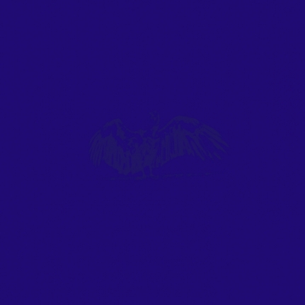 Abdullah M. I. Syed Structures of Culture Vultures: Blue 2017 Clear spot printing on archival paper in 25 parts 65 x 65 in