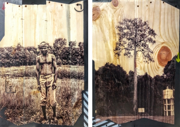 Pair of images, one of a man, the other a tree, digitally printed on reclaimed wood.
