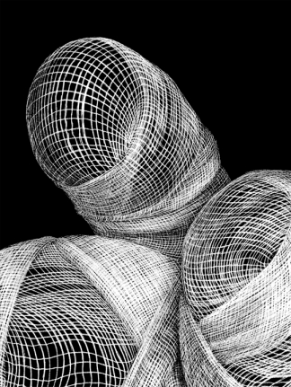 Adeel uz Zafar UNTITLED (DRAWING APPENDAGES SERIES) (Ed. of 16) 2013 Etching on Velin Arches 300gsm paper 22 x 30 in.