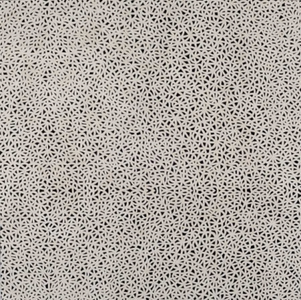 Anil Revri Fractal 2 2006 Mixed media on linen 48 x 48 in.