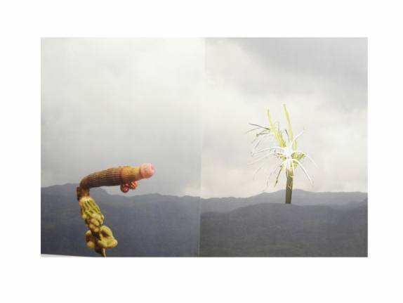 Avishek Sen, Untitled (diptych), 2014, collage on print, 17 x 25 in