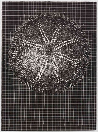 Abdullah M. I. Syed FLARE II (Ed. of 10) 2013 Sliksceen on BFK Rives 280gsm paper 28 x 21 in.