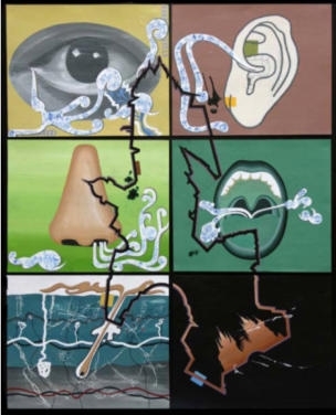 Reena Saini Kallat SALT LINES III 2007 Acrylic and carbon on board 66 x 54 in.