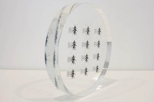 Tazeen Qayyum HARMFUL IF SWALLOWED 2009 Screen print on clear acetate embedded in Lucite 9 dia x 1.5 in. NFS