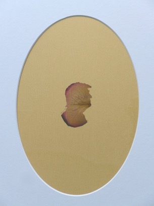 Rose Petal Portraits: Silhouette 45 – Trump