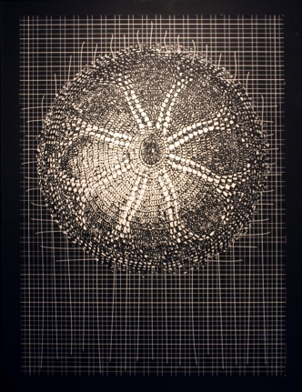 Abdullah M. I. Syed, Flare II, 2013, Silkscreen on BFK Rives 280gsm paper, 28 x 21 in