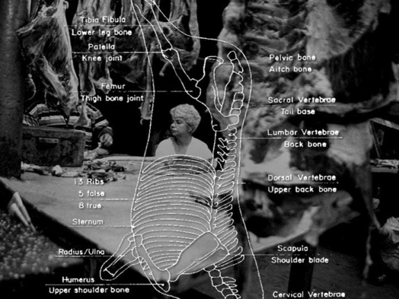 Sanjeet Chowdhury UNTITLED DVD (MEAT SERIES) 2008 Single channel video without sound 4 minutes Edition of 6 + 2AP