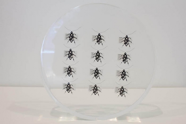 Tazeen Qayyum HARMFUL IF SWALLOWED 2009 Screen print on clear acetate embedded in Lucite 9 dia x 1.5 in. NFS