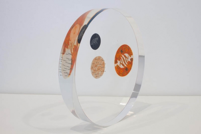 Tazeen Qayyum USE ONLY AS DIRECTED 2009 Opaque watercolor and entomology pins on wasli embedded in Lucite 9 dia x 1.5 in. NFS