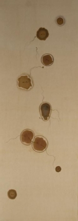 Sumaira Tazeen KITAB-E-MUSAVIRI SAI AIK WARQ (PAGE FROM AN ARTIST'S SKETCH BOOK) 2008 Tea stains on wasli 11 x 4 in.