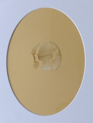 Rose Petal Portraits: Silhouette 92 – Queen Elizabeth II