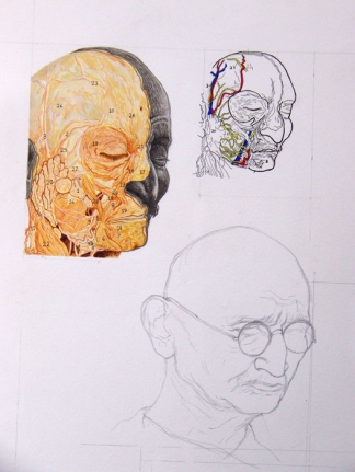 Debanjan Roy, Untitled 1, 2009, Acrylic on paper, 14 x 11 in
